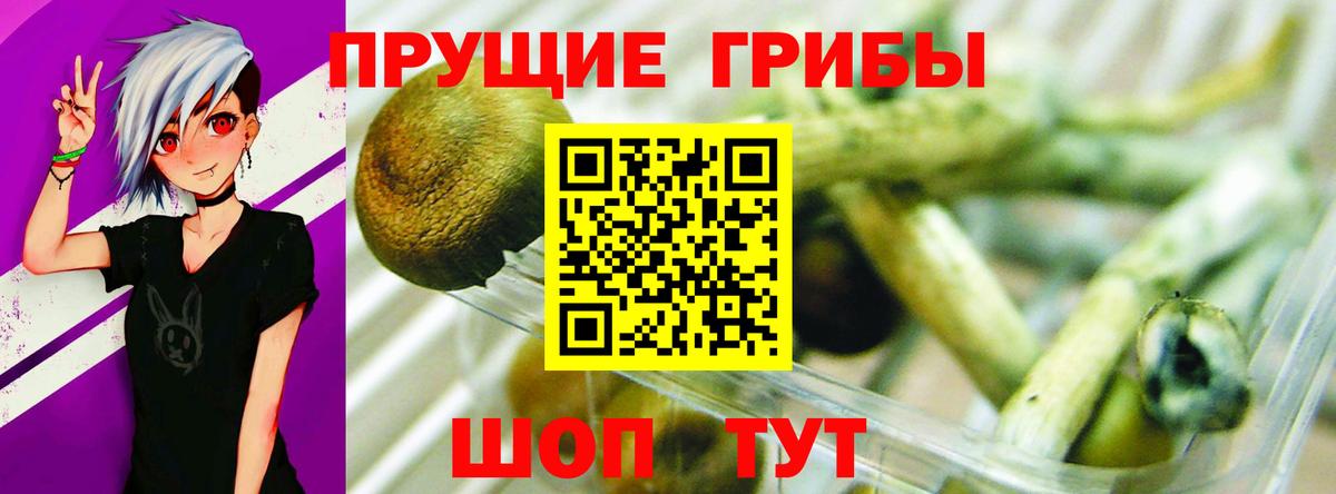 хочу   Галлюциногенные грибы Psilocybine cubensis  Вход с VPN  Саратов 