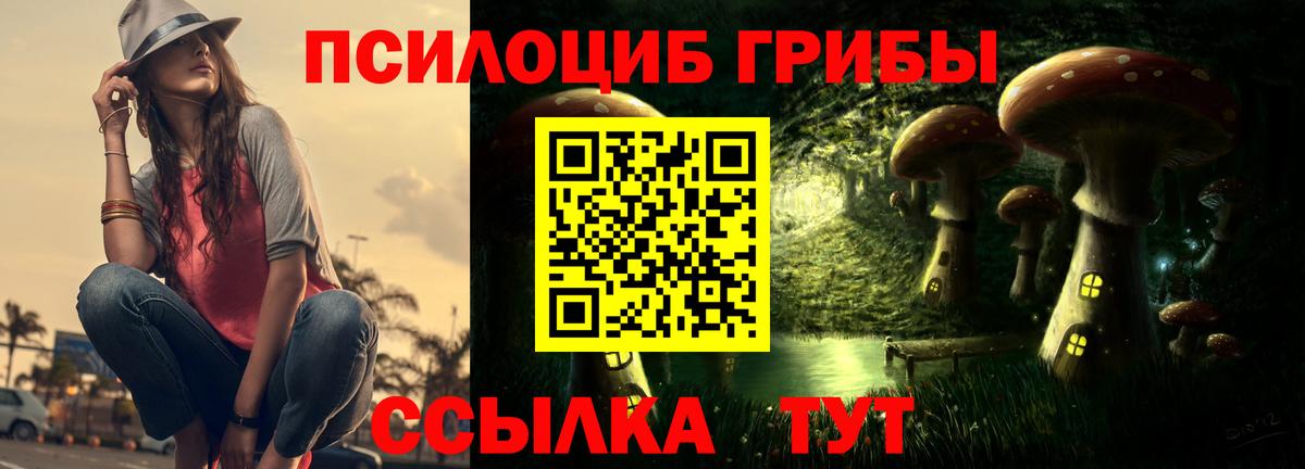 Галлюциногенные грибы GOLDEN TEACHER Саратов